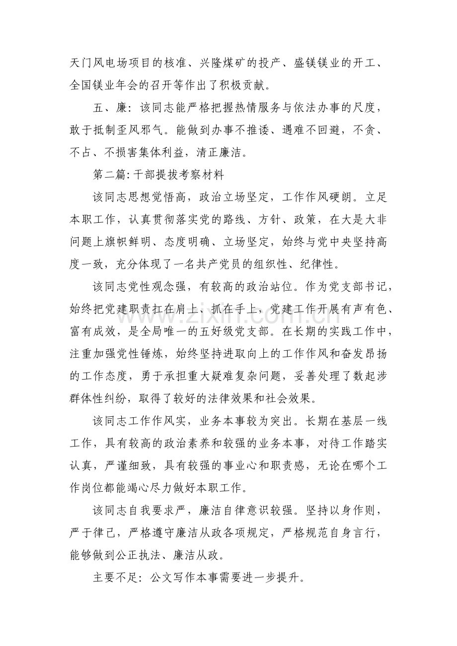 干部提拔考察材料范文(13篇).pdf_第2页