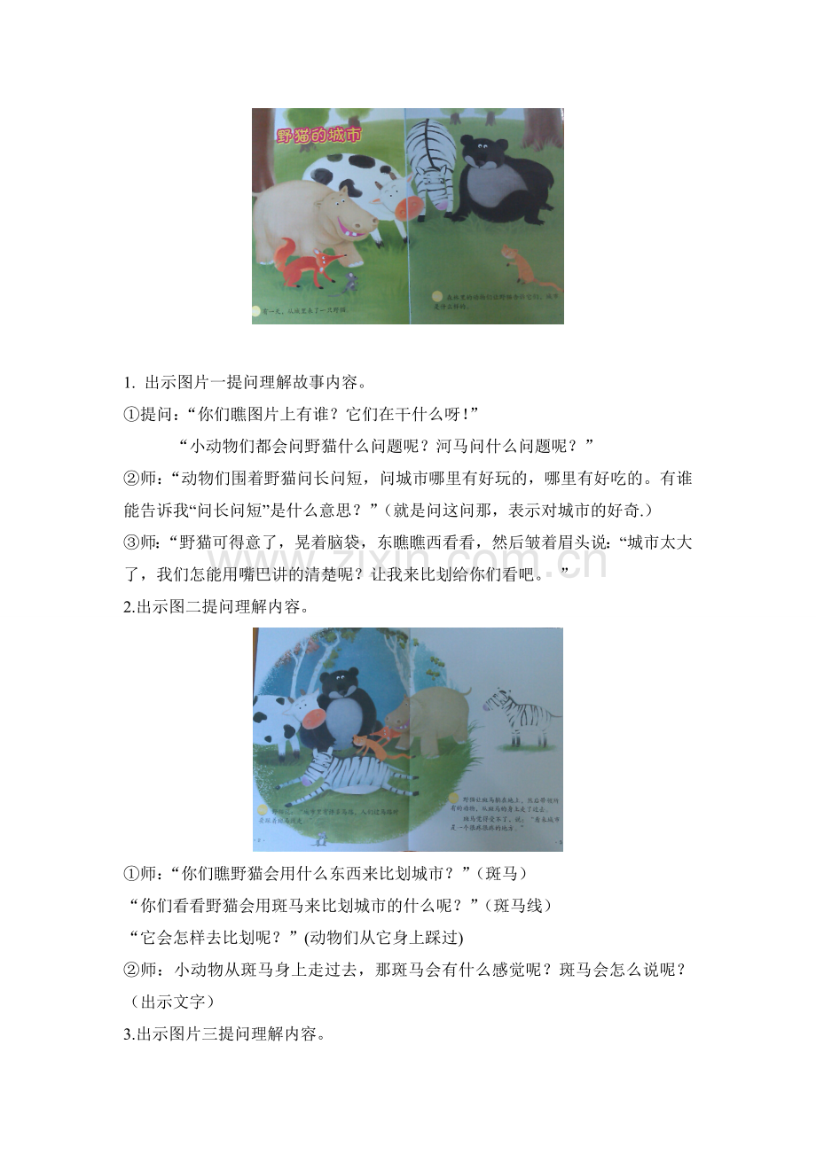 大班分级阅读《野猫的城市》.doc_第2页