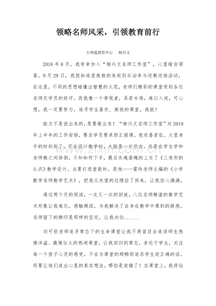 领略名师风采引领教育前行（杨兴义）.docx_第1页