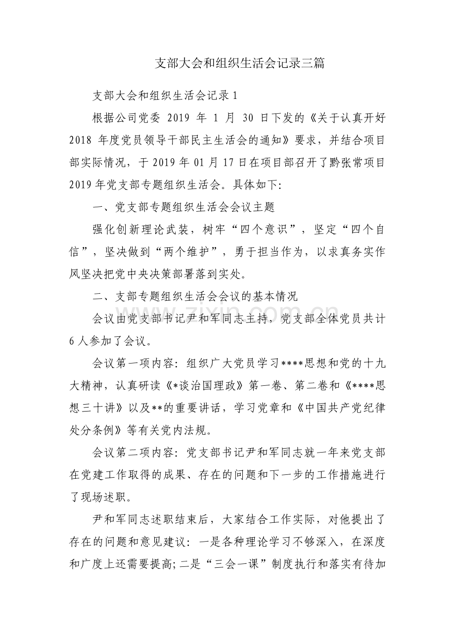 支部大会和组织生活会记录三篇.pdf_第1页