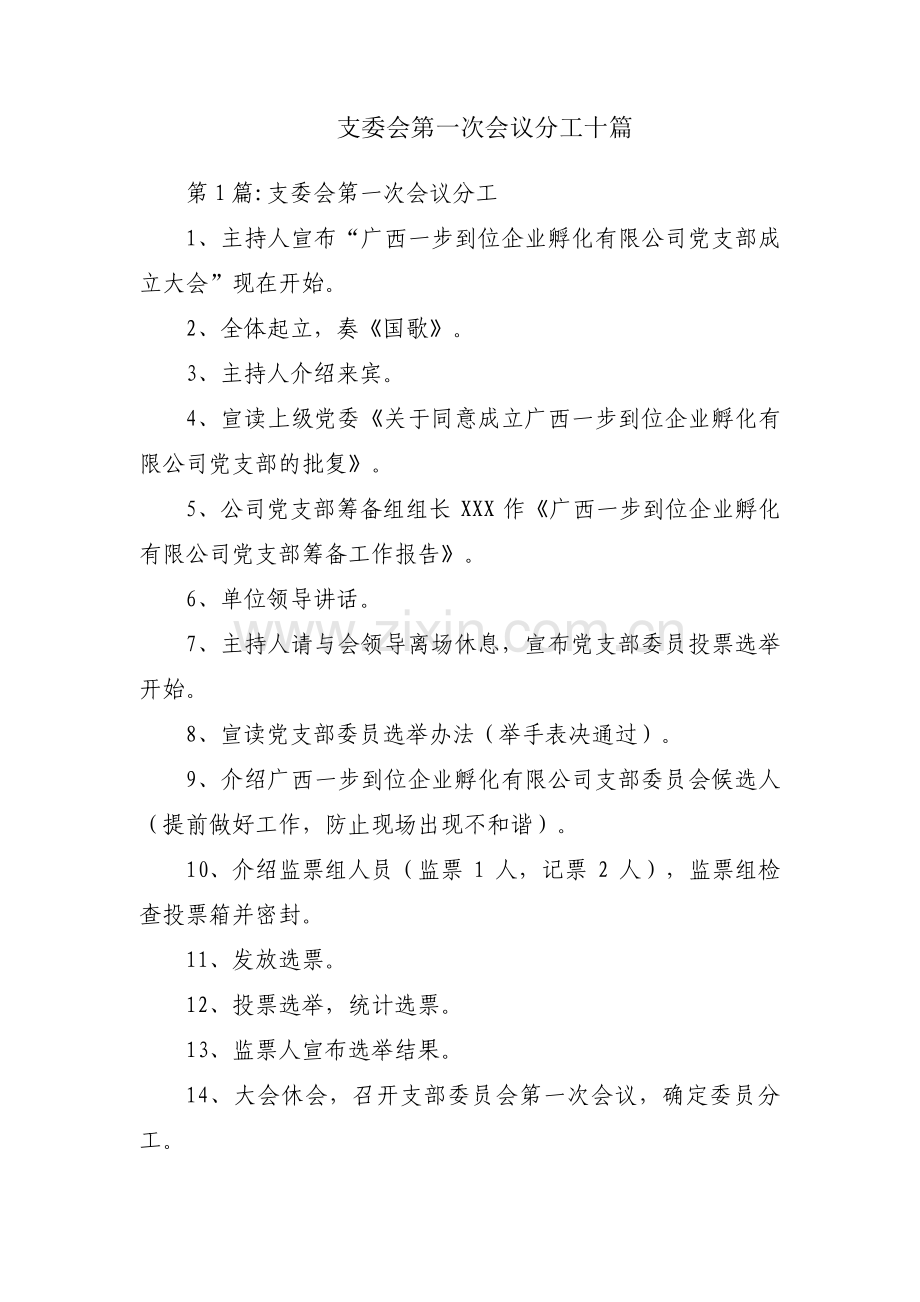 支委会第一次会议分工十篇.pdf_第1页