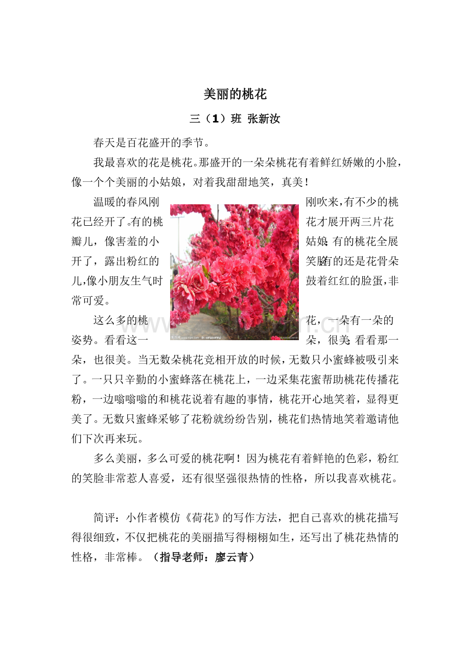 美丽的桃花.doc_第1页