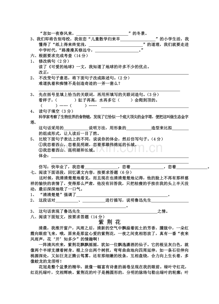 罗汉小学六年级语文复习测试卷四.doc_第2页