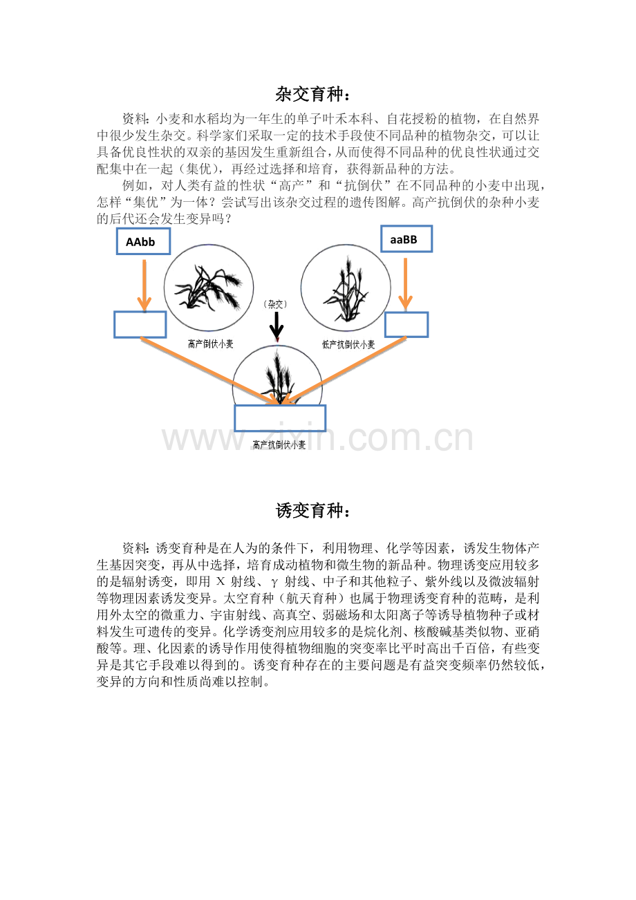第四节生物的变异.docx_第1页