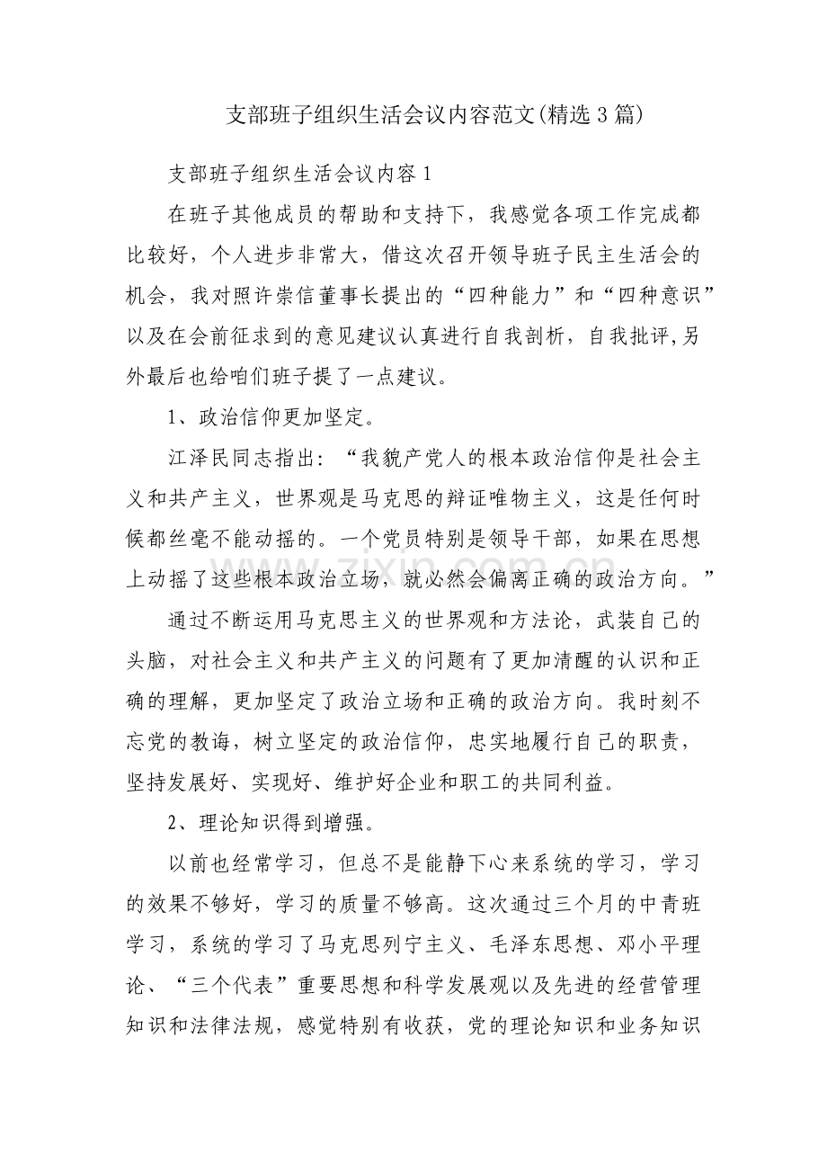 支部班子组织生活会议内容范文(3篇).pdf_第1页