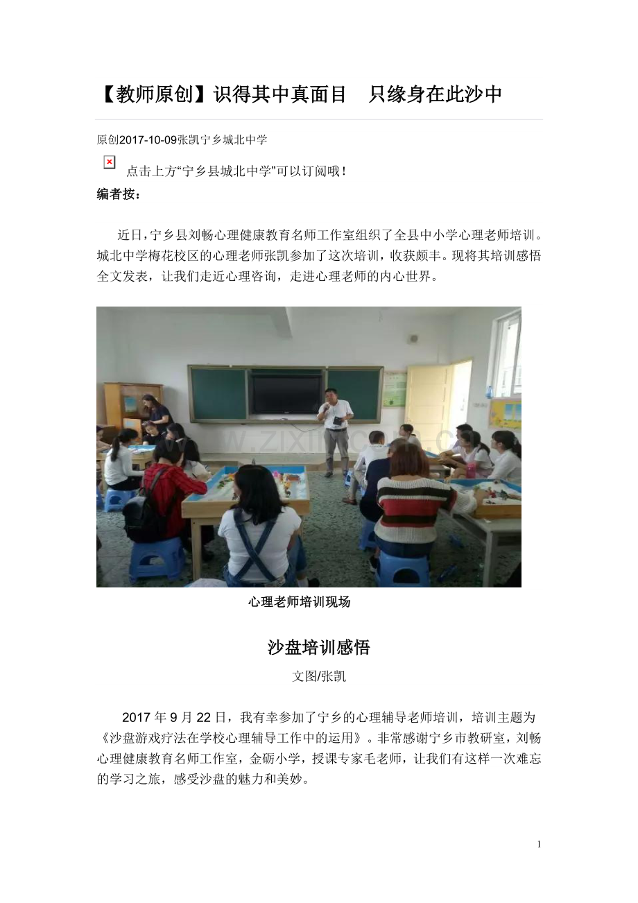沙盘培训感悟（城北中学张凯）.doc_第1页