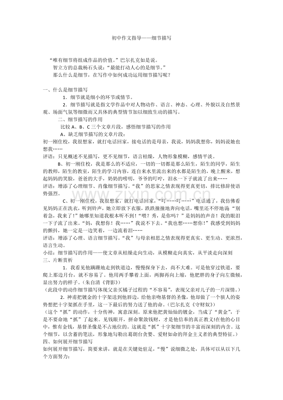 作文指导细节描写.docx_第1页