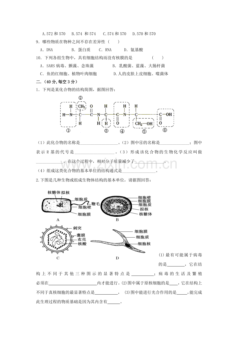 高一年级生物科第十二周活页作业.docx_第2页