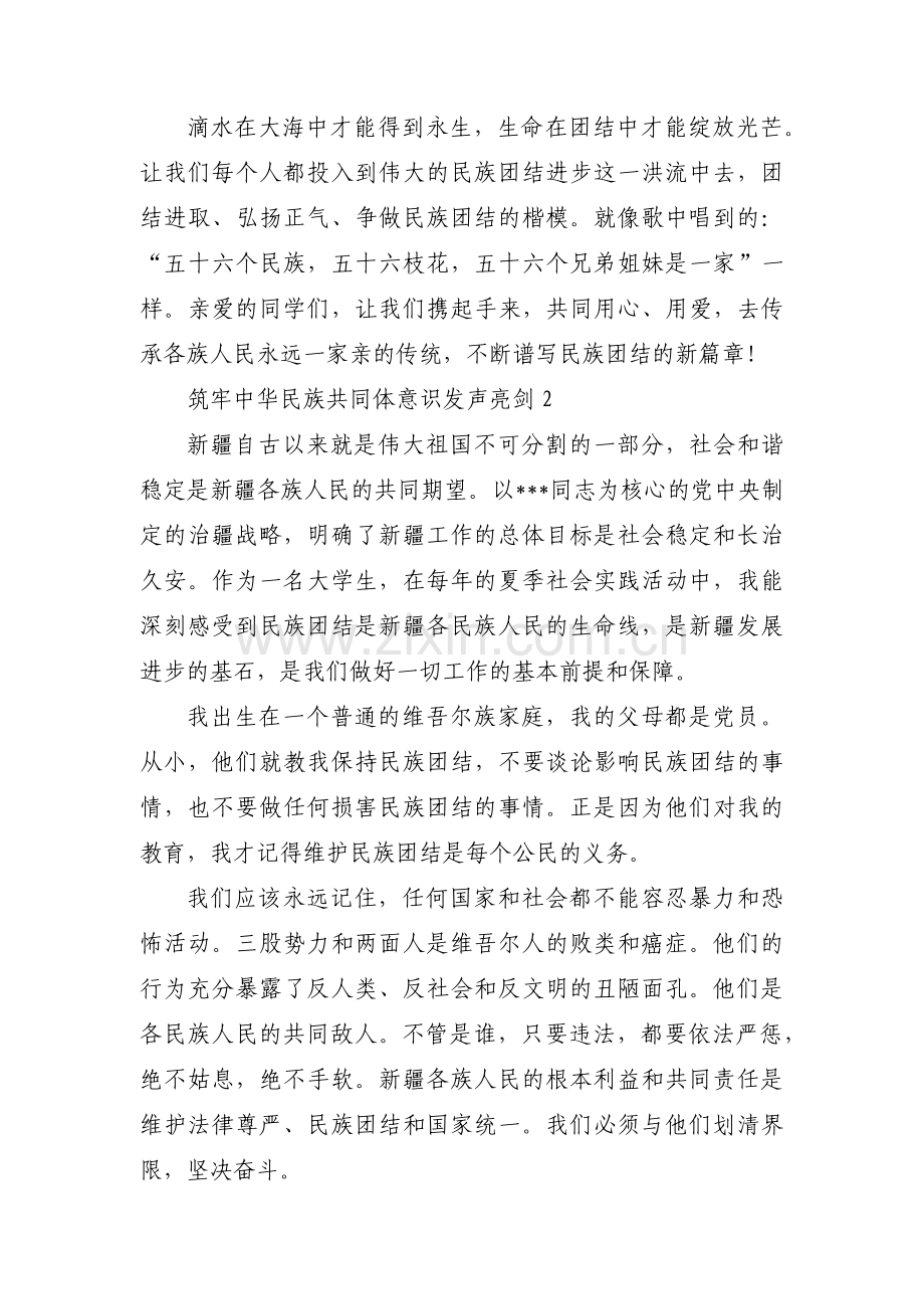 筑牢中华民族共同体意识发声亮剑范文(精选6篇).pdf_第2页