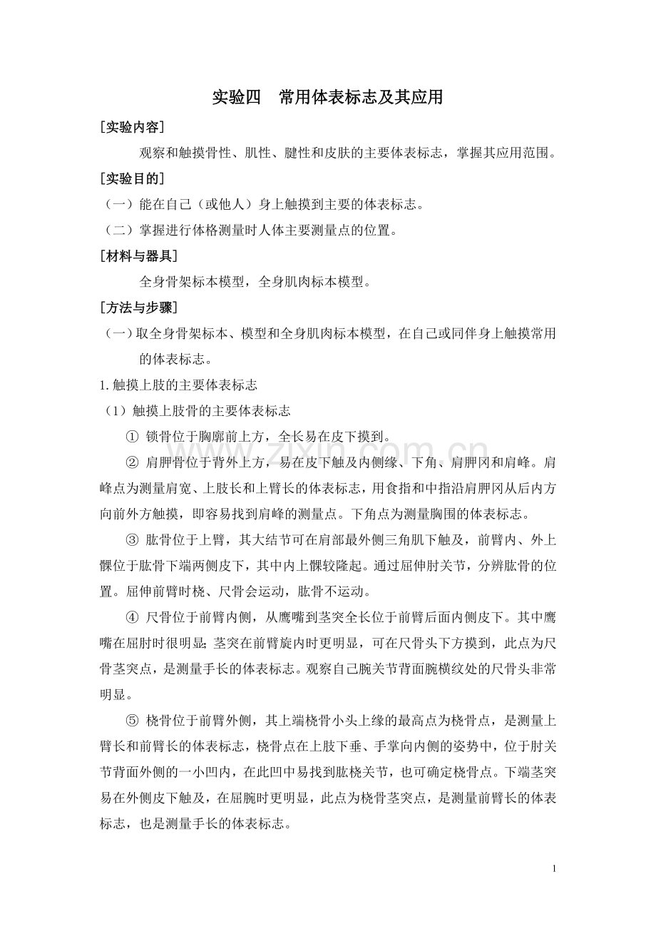 常用体表标志及其应用.doc_第1页