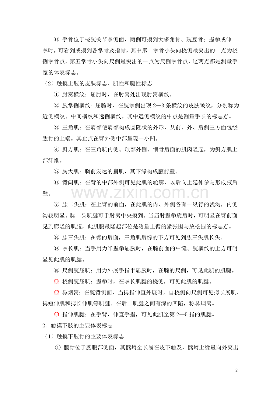 常用体表标志及其应用.doc_第2页