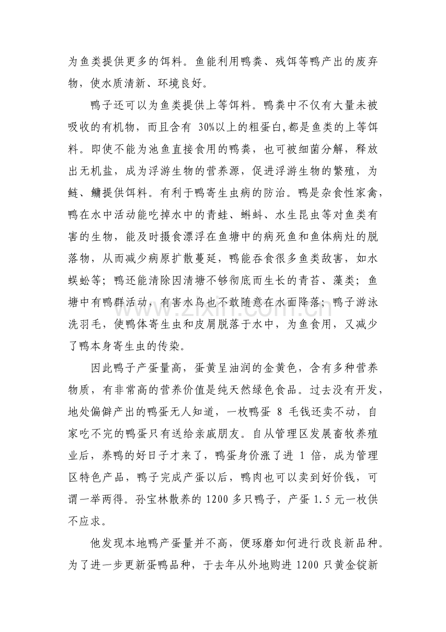 护士青年岗位能手事迹材料【六篇】.pdf_第2页