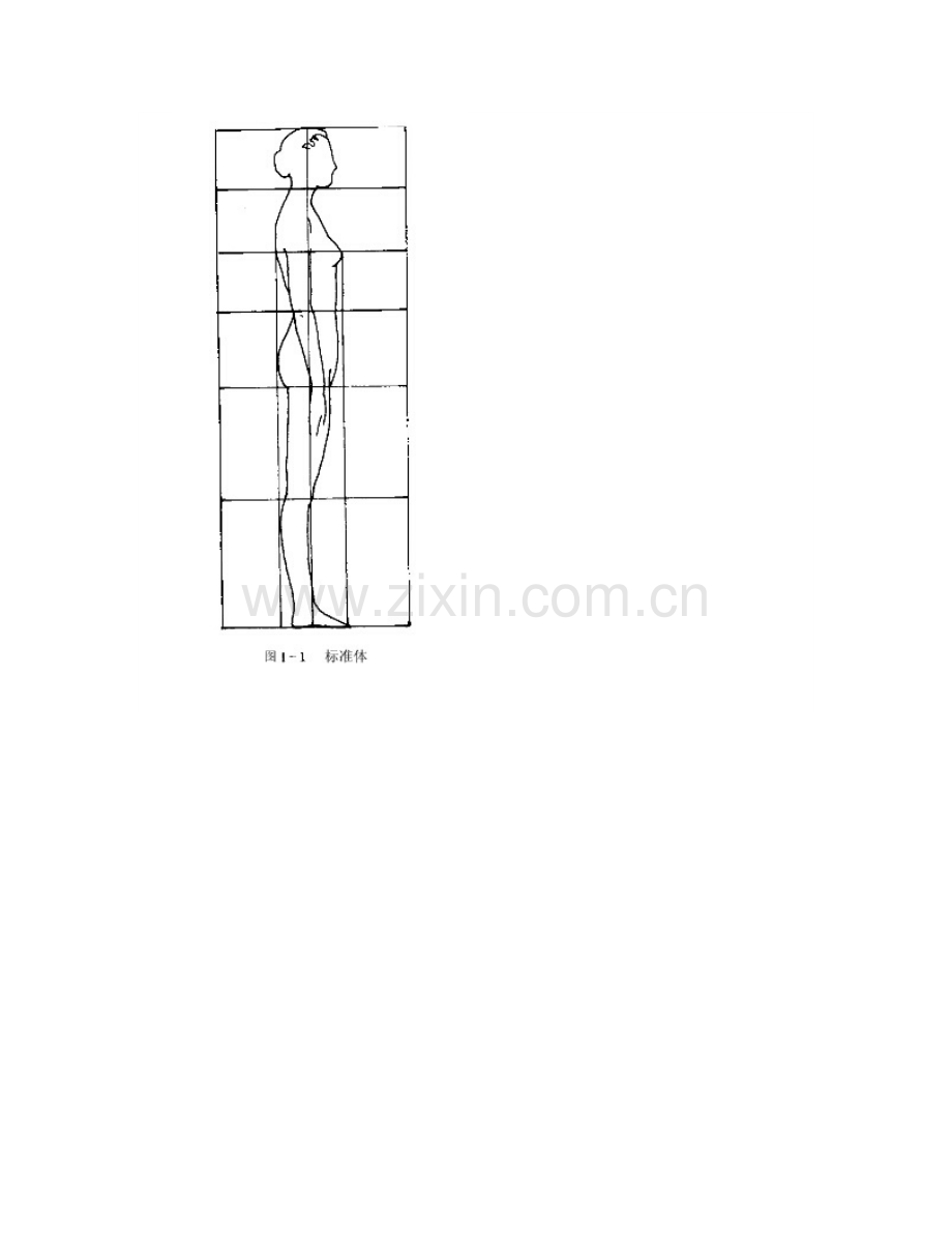 身体体型.docx_第2页