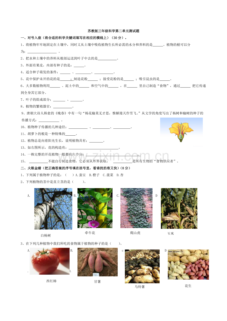 苏教版三年级下册科学第二单元测试题.docx_第1页