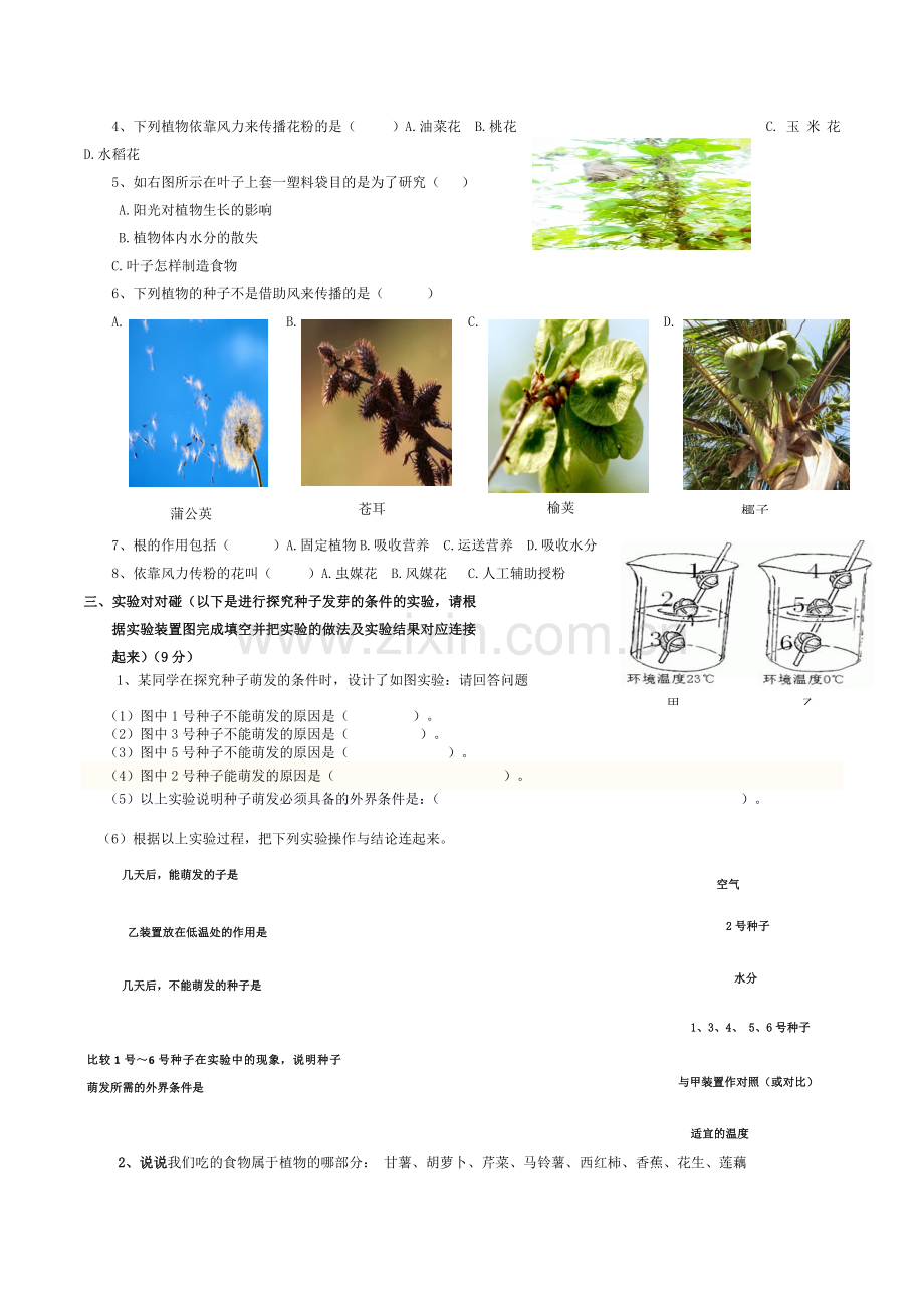 苏教版三年级下册科学第二单元测试题.docx_第2页