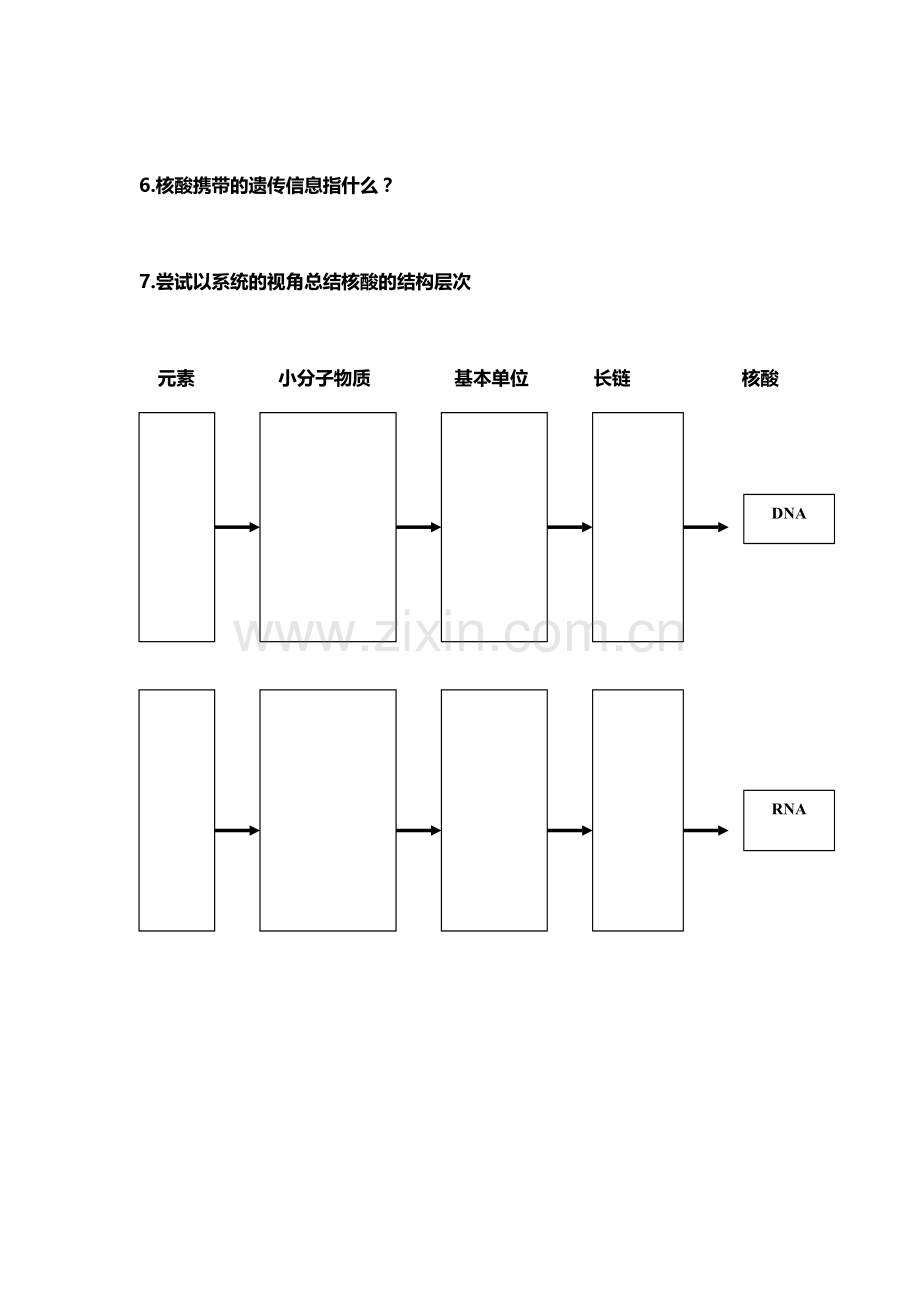 核酸预习学案.doc_第2页