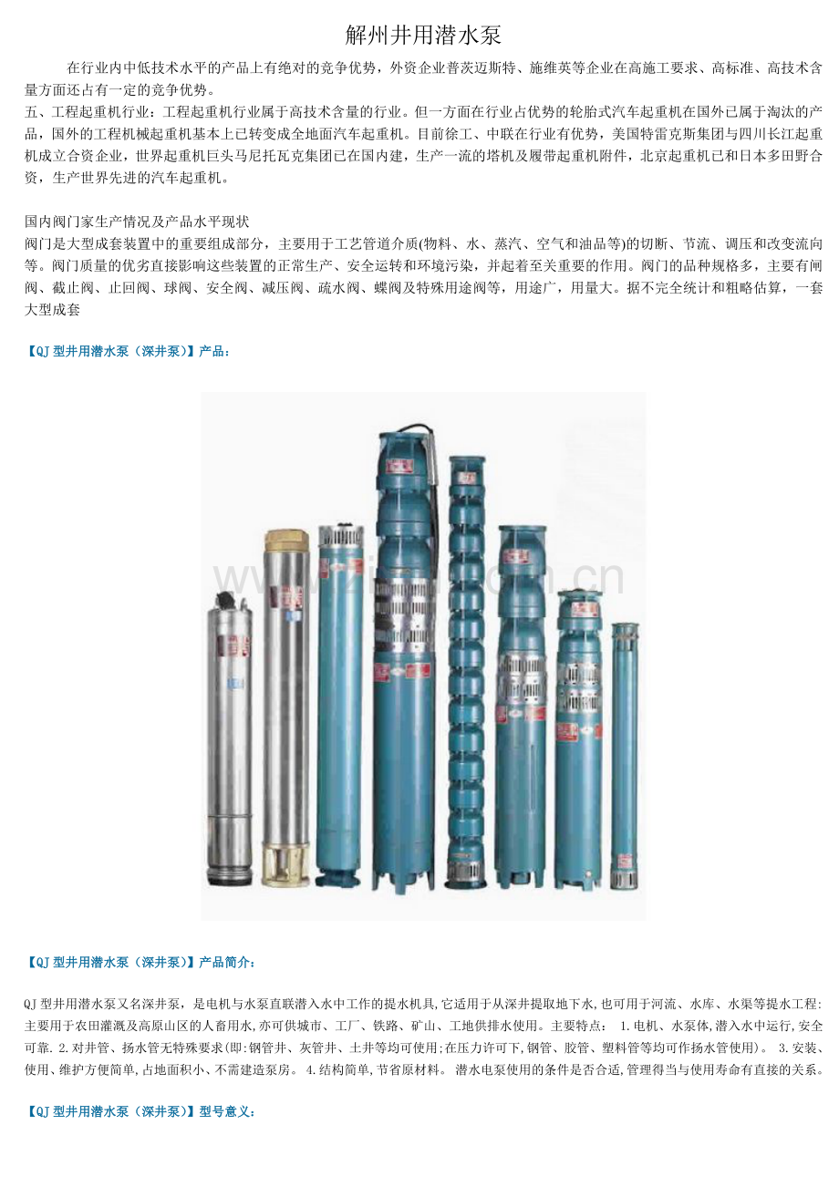 解州井用潜水泵.pdf_第1页