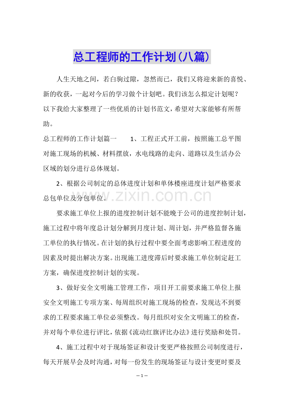 总工程师的工作计划(八篇).doc_第1页