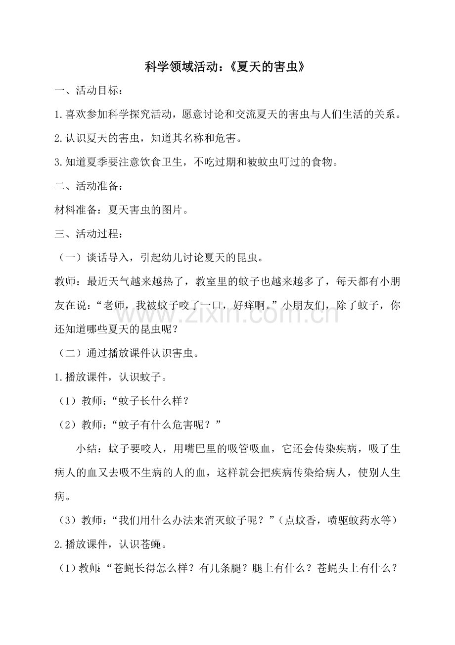 科学领域活动：《夏天的昆虫》.doc_第1页