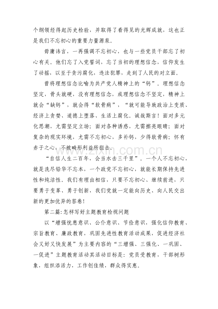 怎样写好主题教育检视问题范文(3篇).pdf_第2页