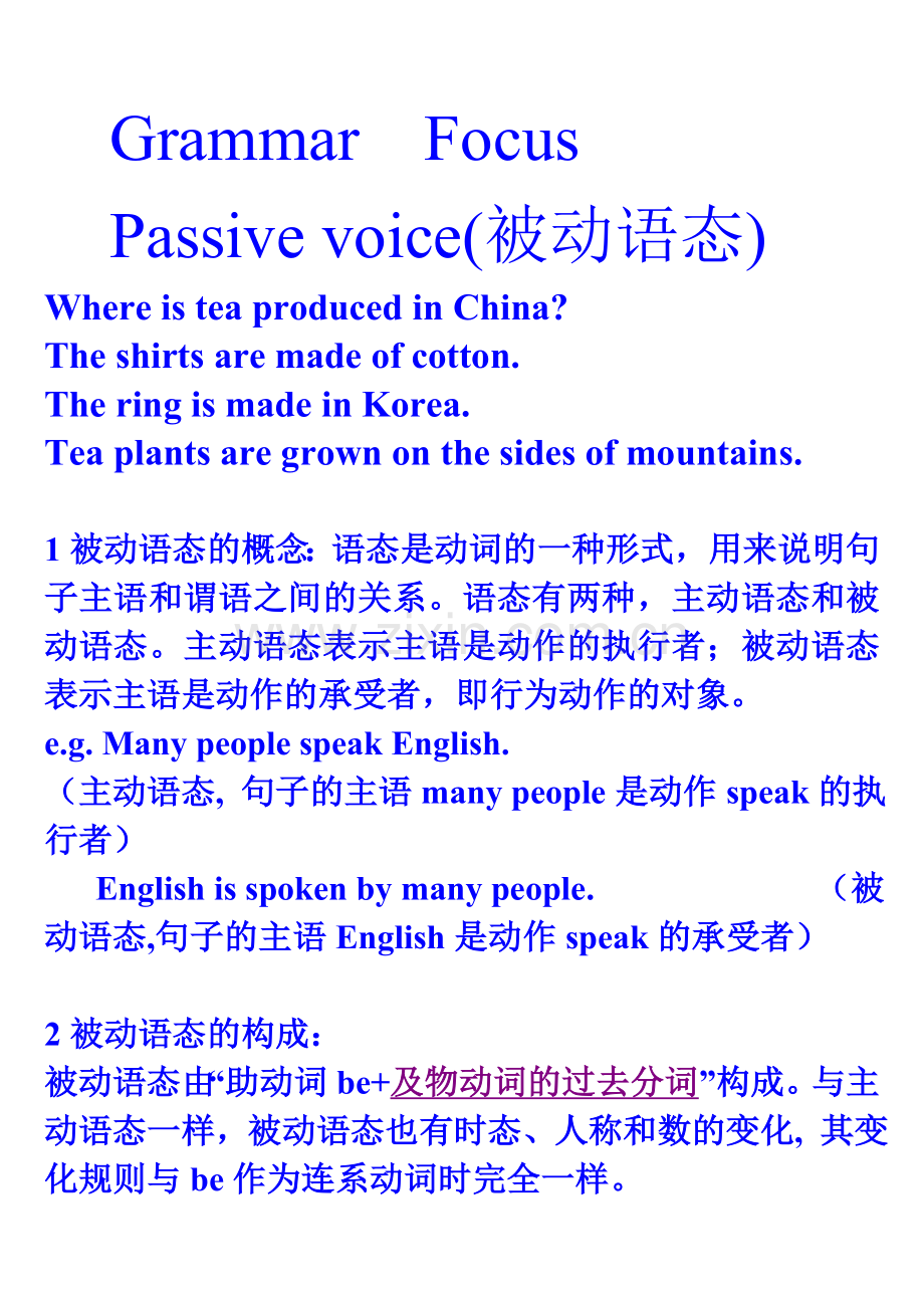 Grammar-Focus被动语态.doc_第1页