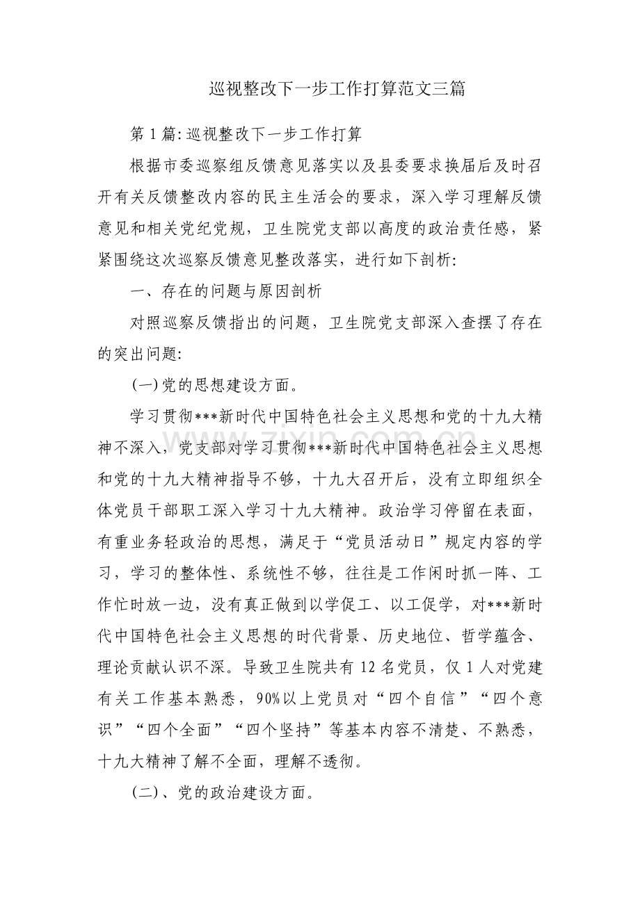 巡视整改下一步工作打算范文三篇.pdf_第1页