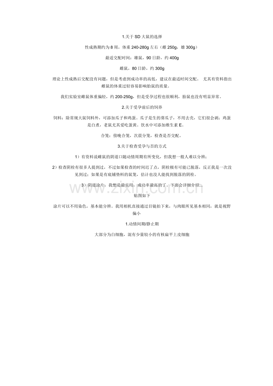 sd大鼠受孕检查(含图片).doc_第1页