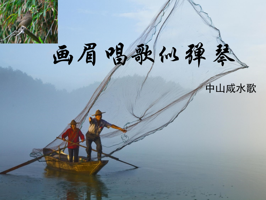 《画眉唱歌似弹琴》课件.ppt_第1页