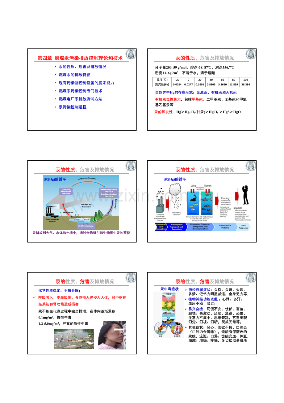 第四章 汞污染-final.pdf_第1页