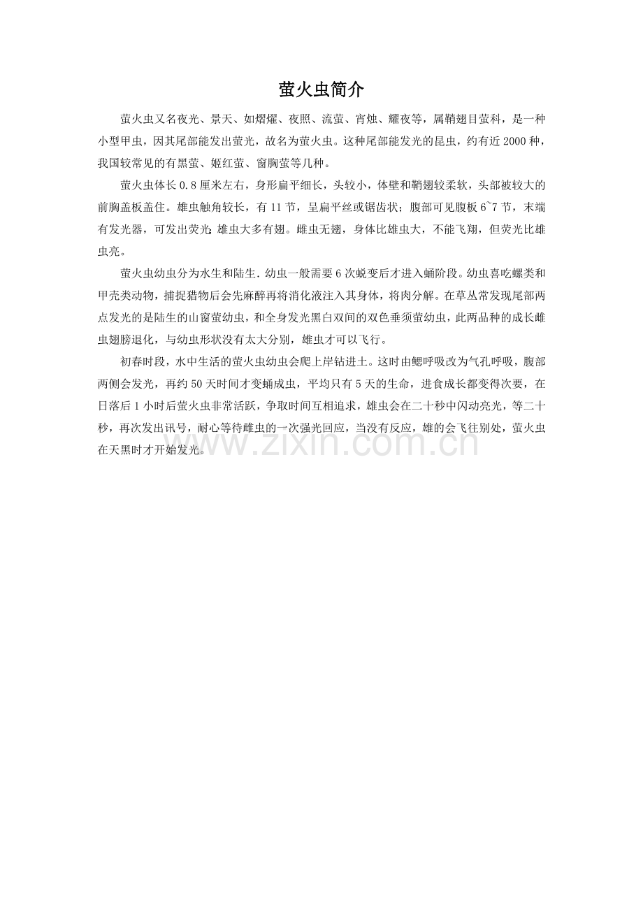 萤火虫简介.doc_第1页