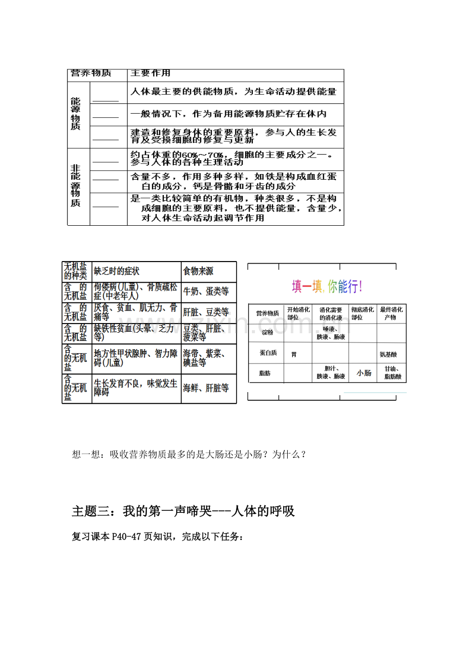 第二节人的生殖.docx_第2页