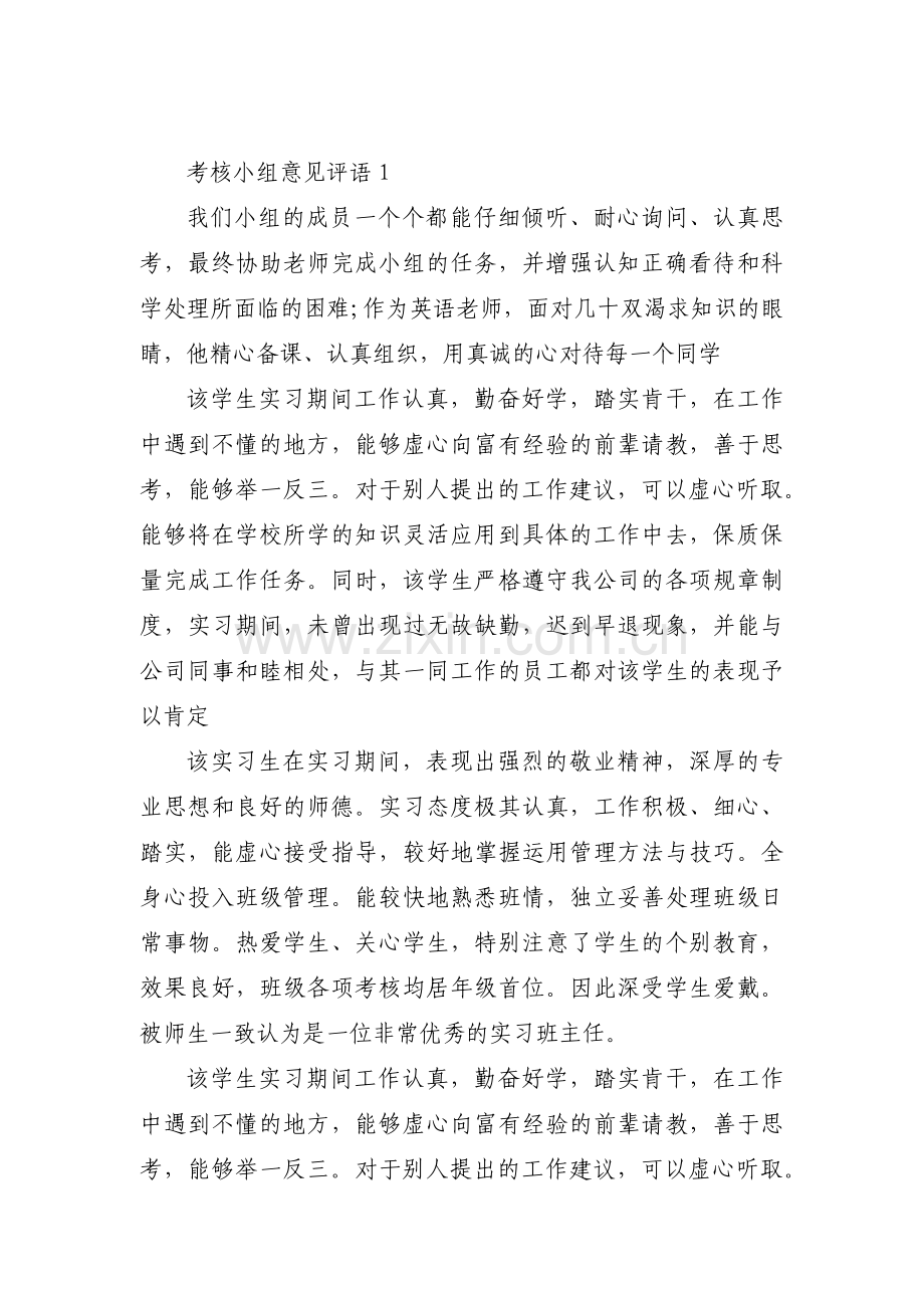 考核小组意见评语(通用3篇).pdf_第1页