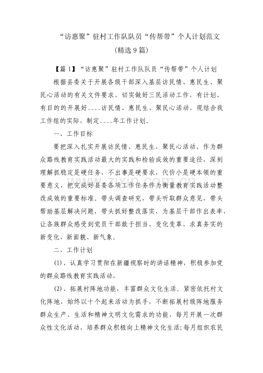 “访惠聚”驻村工作队队员“传帮带”个人计划范文(9篇).pdf_第1页
