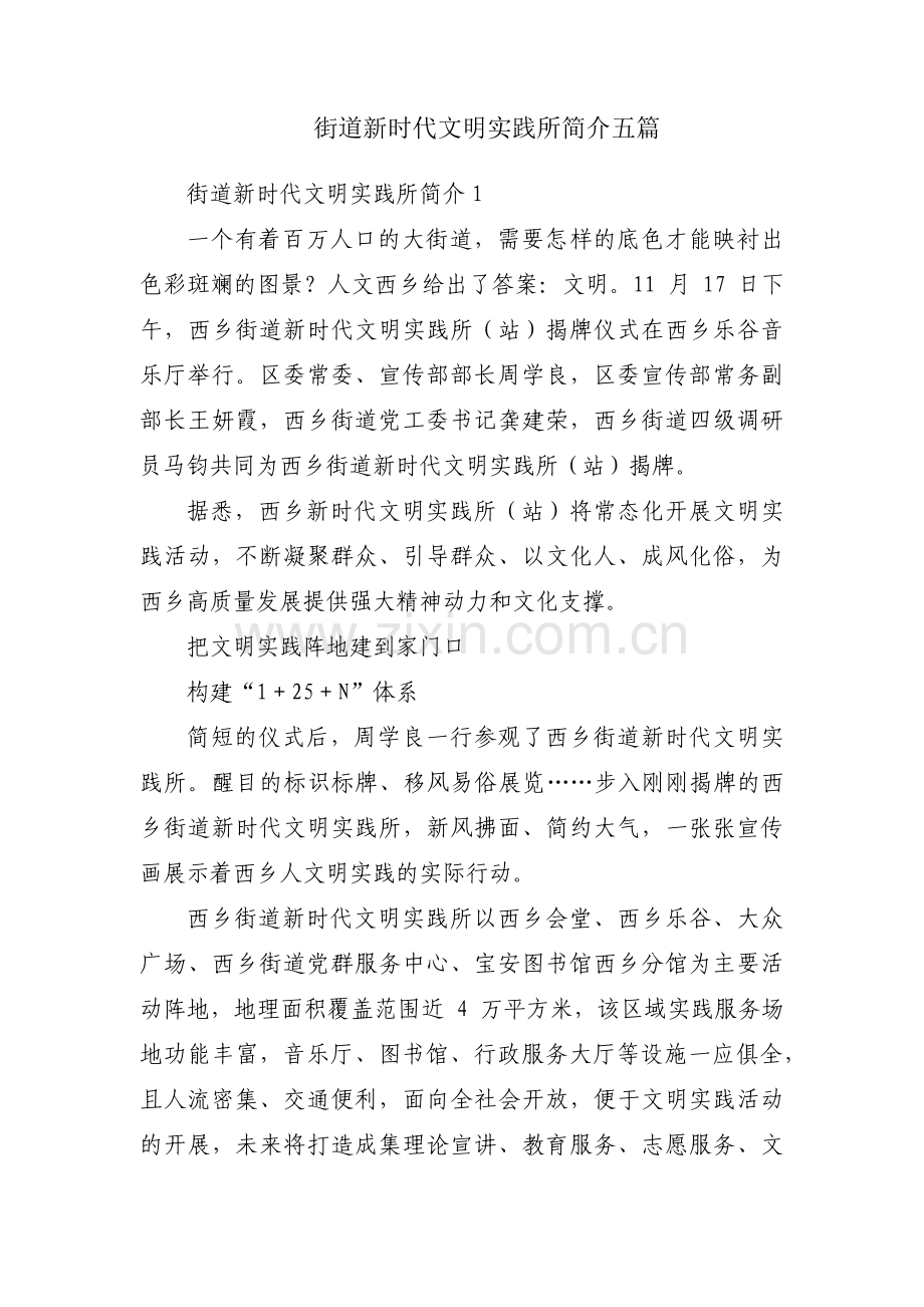 街道新时代文明实践所简介五篇.pdf_第1页