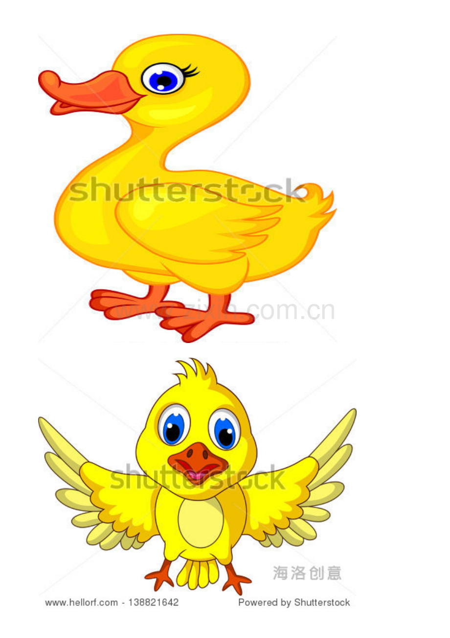 小鸭找朋友图片.docx_第1页