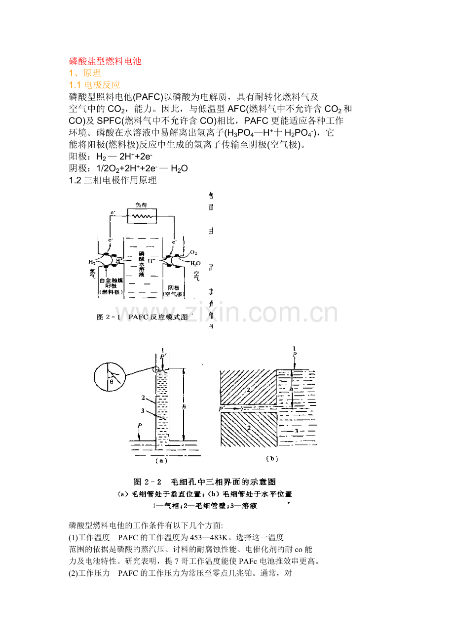 磷酸盐型燃料电池.doc_第1页