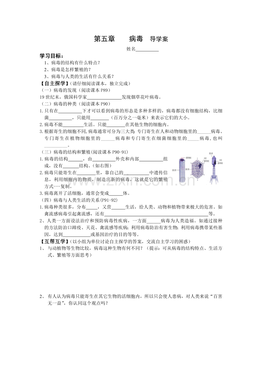 第一节病毒.doc_第1页