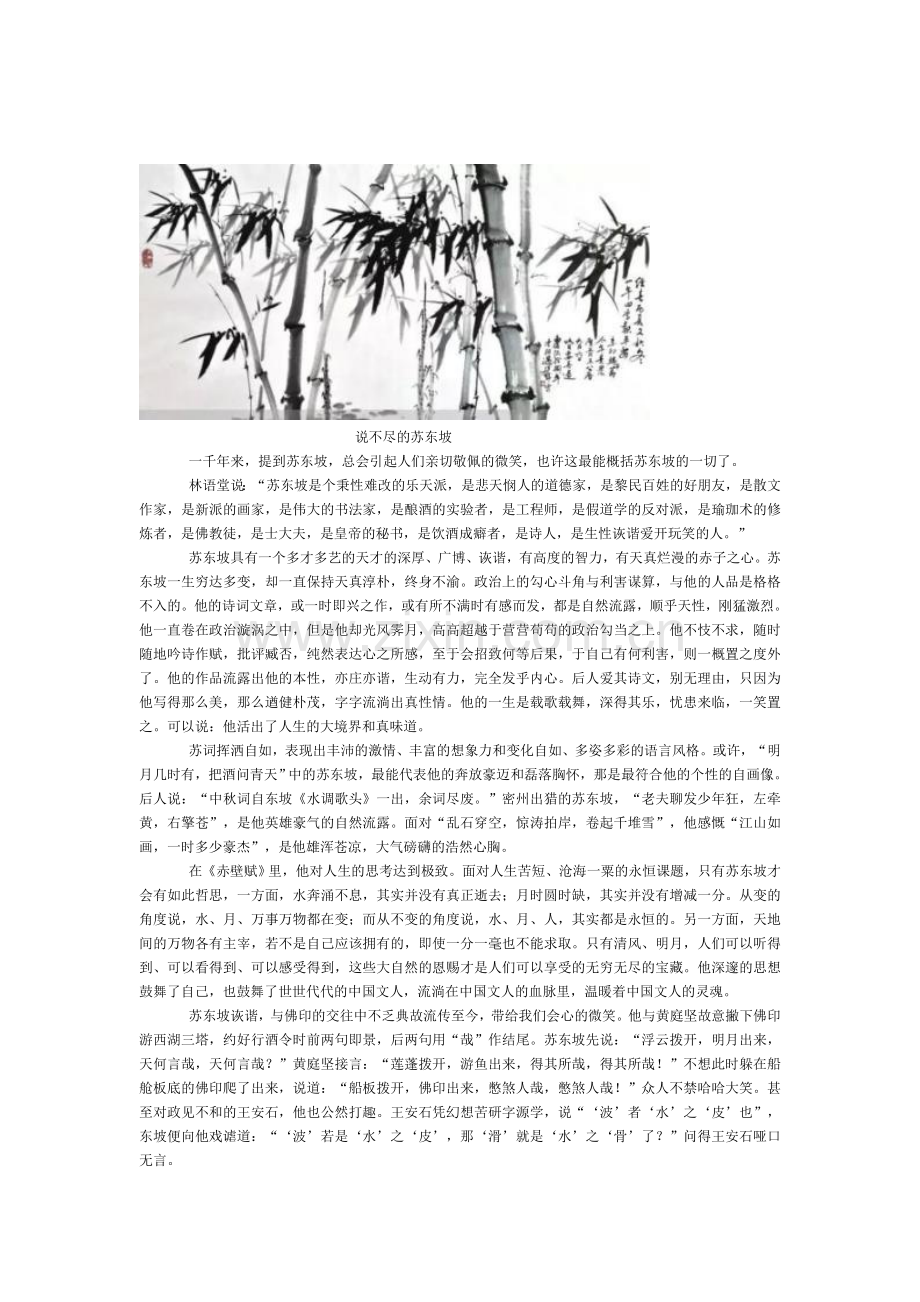 说不尽的苏东坡.doc_第1页
