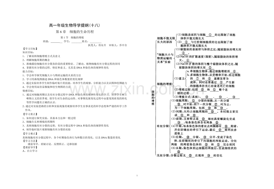 细胞的增殖１９.doc_第1页