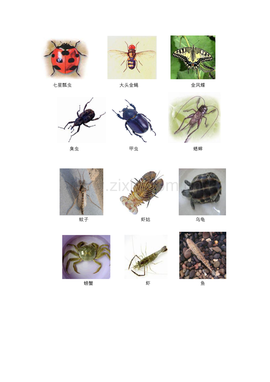 天赐对称在世上.doc_第2页