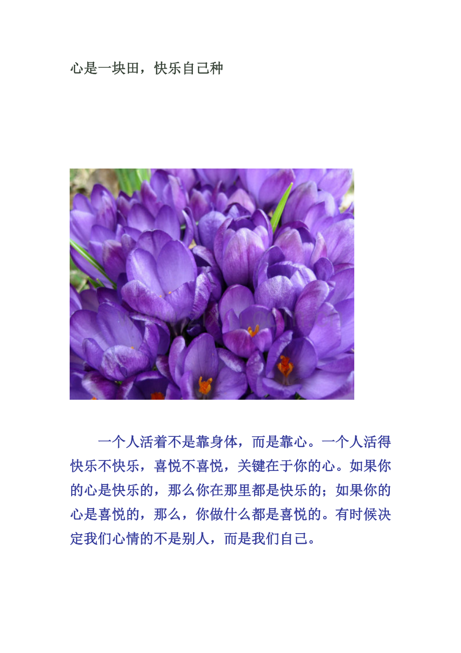 心是一块田快乐自己种.doc_第1页
