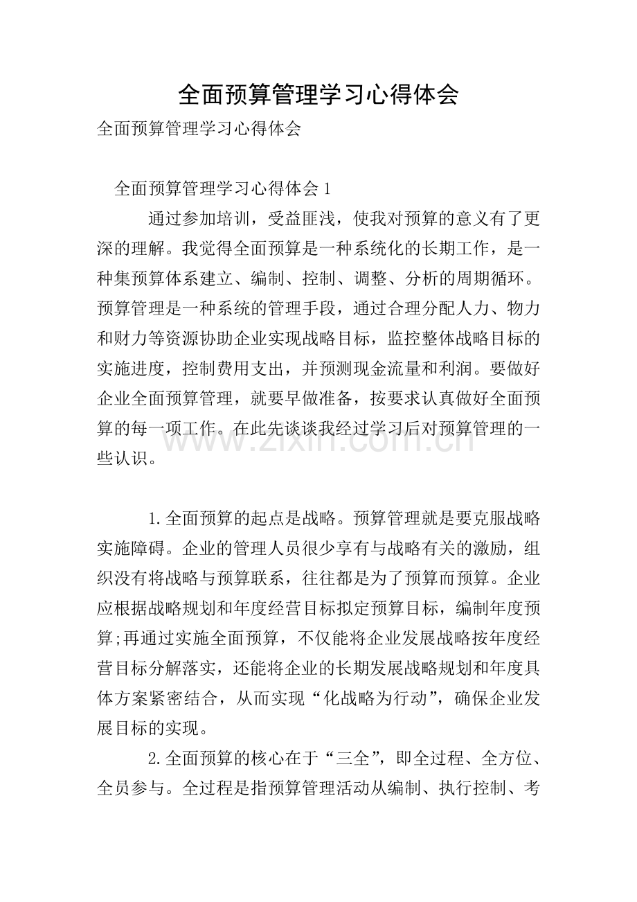 全面预算管理学习心得体会.doc_第1页