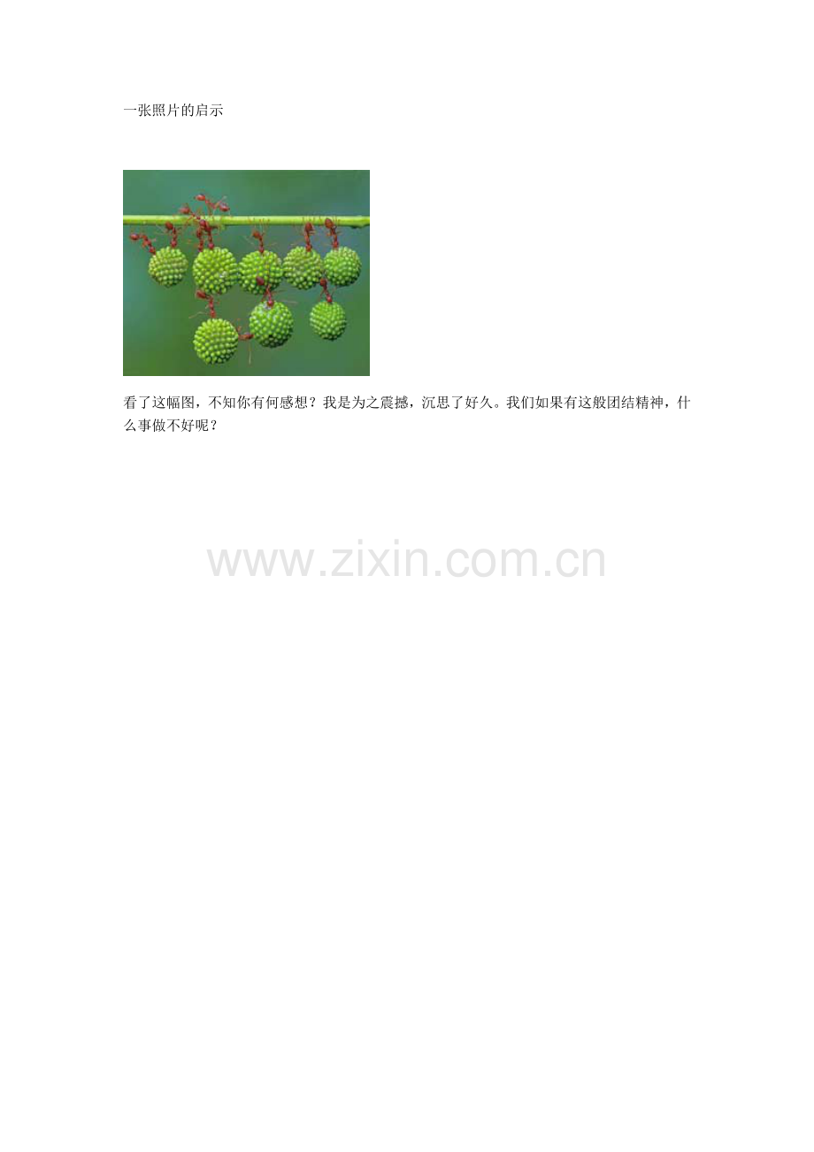 一张照片的启示.docx_第1页