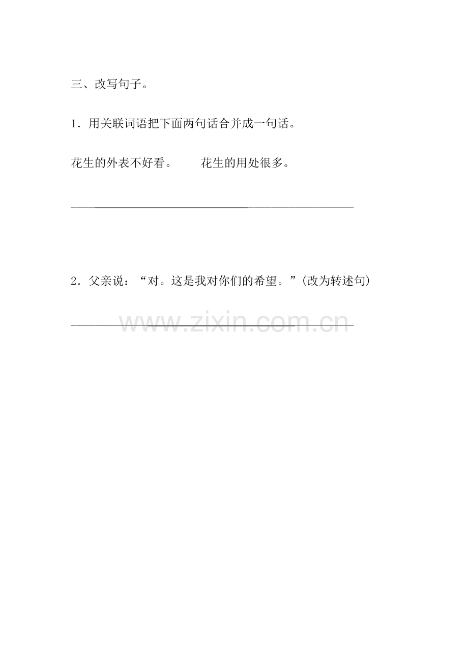 《落花生》练习题.doc_第2页