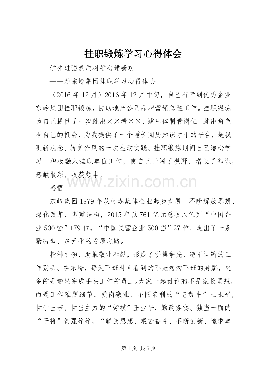 挂职锻炼学习体会心得.docx_第1页