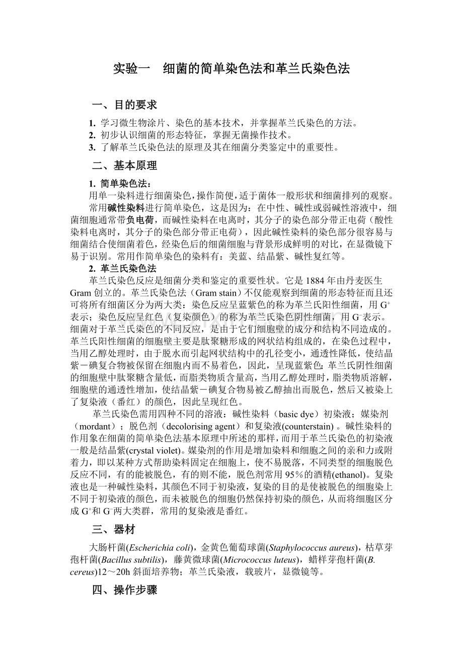 细菌的染色.doc_第1页