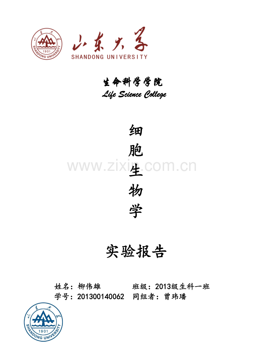 细胞凝集反应.doc_第1页