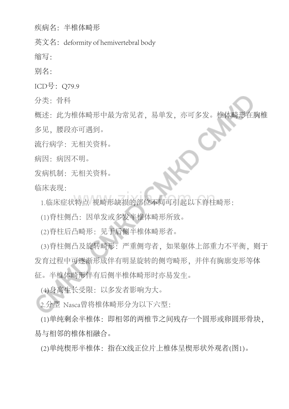 半椎体畸形.pdf_第1页