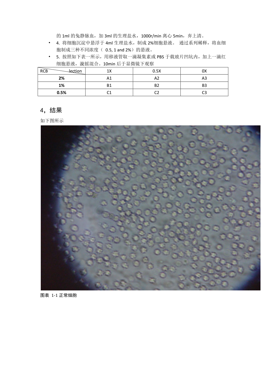 细胞凝集.docx_第2页