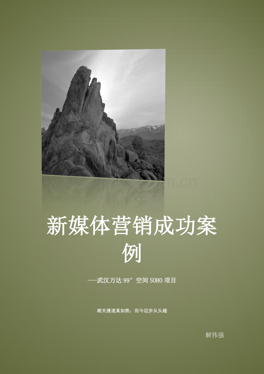 新媒体成功案例.docx_第1页